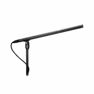 Microphones pour caméras, Shotguns