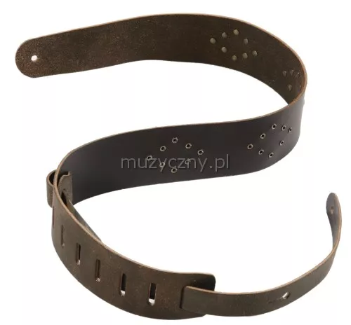 Planet Waves 25VNRD01-DX Planet Waves 25VNRD01-DX