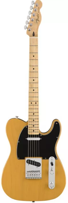 Fender Standard Telecaster MN BTB Fender Standard Telecaster MN BTB
