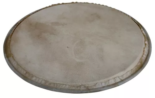 Latin Percussion LP881994 Latin Percussion LP881994