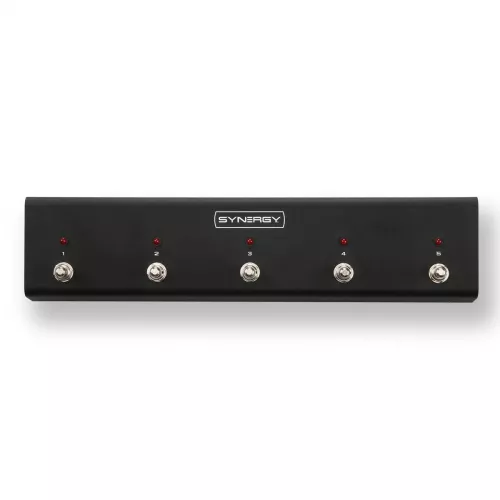 Synergy Amps R-5 Synergy Amps R-5