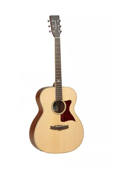 TANGLEWOOD TW170 SS TANGLEWOOD TW170 SS