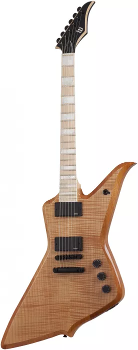 Schecter Wylde Audio Blood Eagle Rawtop electric guitar Schecter Wylde Audio Blood Eagle Rawtop electric guitar