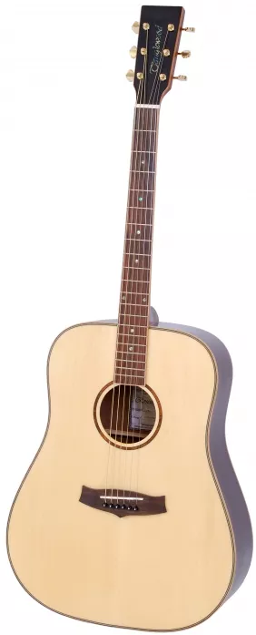 Tanglewood TR D Tanglewood TR D