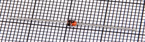 Yamaha VG440800 Yamaha VG440800