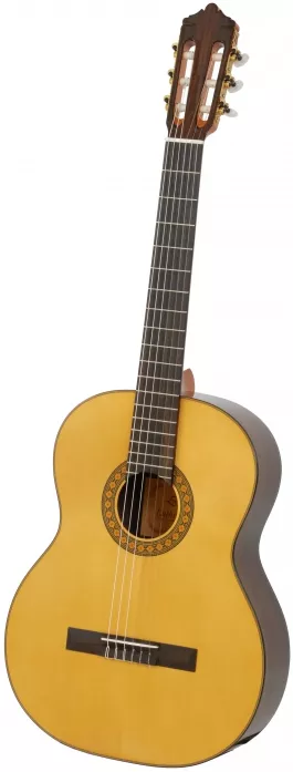 Ever Play Luthier 2S Ever Play Luthier 2S