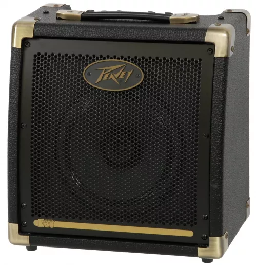 Peavey Ecoustic E20 Peavey Ecoustic E20