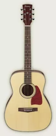 Ibanez AW10NT Ibanez AW10NT