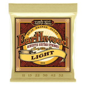 Ernie Ball 2004 Earthwood Light