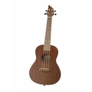 Flycat C10C