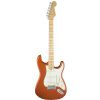 Fender American Elite Stratocaster MN