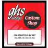 GHS Custom Shop Pat Martino Sig Flatwounds STR ELE L 16-56