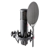 SE Electronics sE 2200 condenser microphone