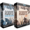 Toontrack Roots SDX Bundle biblioteka brzmień