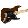 Fender American Special Stratocaster Mn Walnut