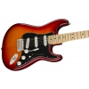Fender Player Stratocaster Plus Top MN