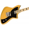 Fender Limited Edition Meteora