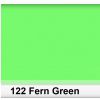Lee 122 Fern Green