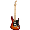 Fender Player Stratocaster Plus Top HSS MN Aged Cherry Burst