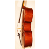 Strunal Cello Maestro Linz 4/7 H 4/4
