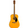 Fender Limited Edition CD-60S Exotic Dao Dreadnought AGN WN