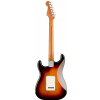 Fender Limited Edition Player Stratocaster Roasted Maple Neck 3-Color Sunburst