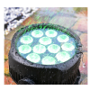 EVOLIGHTS SMOOTH PAR 12x10W RGBWA-UV LED - reflektor zewnętrzny IP65