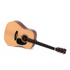 Sigma Guitars DT-ST acoustic guitar