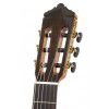 EverPlay Luthier-3 cut/eq