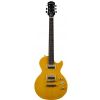 Epiphone LP Slash Special II Outfit