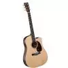 Martin DCPA-4 Rosewood