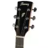 Ibanez PF17ECE-LG