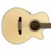 Ibanez AEG10N-ENT