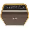 Fender Acoustic SFX 200W