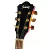 Ibanez SGT 430 E SC