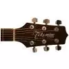 Takamine G320S