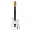Ibanez TM 302 IV Talman
