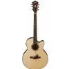 Ibanez AEL FF10 NT