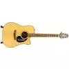 Takamine EG320SC-NS