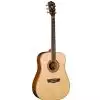 Washburn WD10S Natural