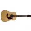 Martin DX-1