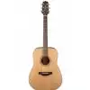 Takamine GD20-NS