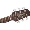 Takamine GD20-NS