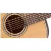 Takamine GD20-NS