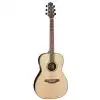 Takamine GY93