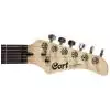 Cort STAT3 BK