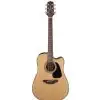 Takamine GD10CE-NA