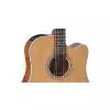 Takamine GD20CE NS