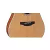 Takamine GD20CE NS