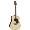 Takamine GD51 NAT